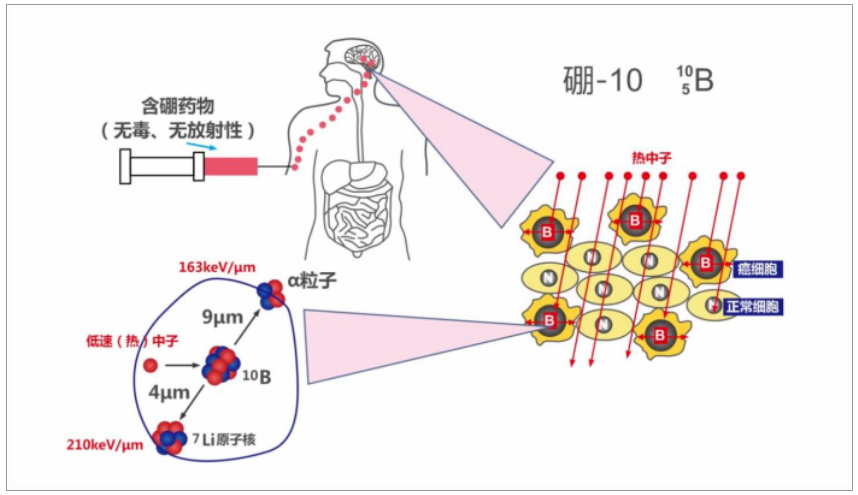 1691118563125794.png image.png