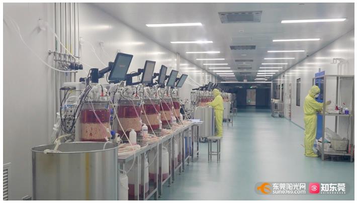 1691635172204960.jpg 111.jpg