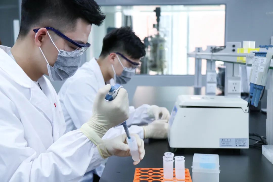 1692065160389781.jpg 640-1.jpg