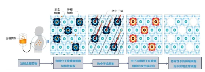 1755566592504590.png image.png