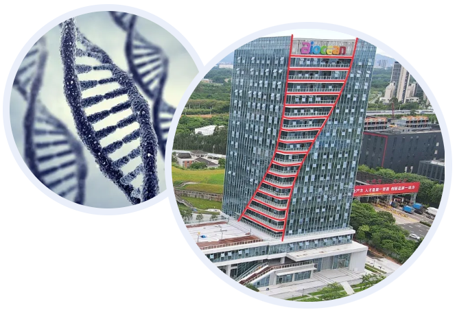 1755744718700299.png image.png